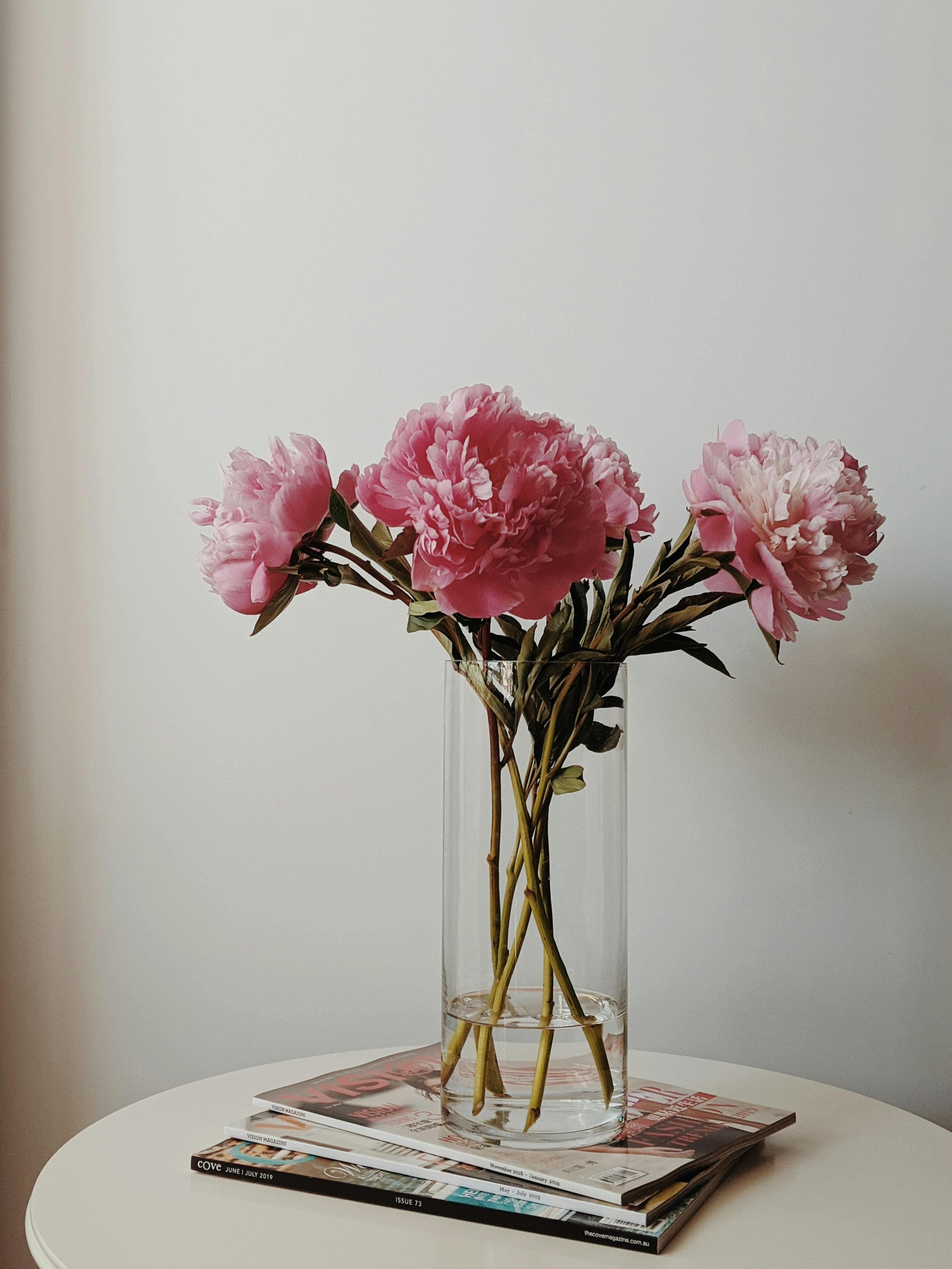 Founder of Raavya Raghav Khanna Home Setup